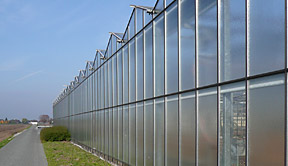Gewächshaus